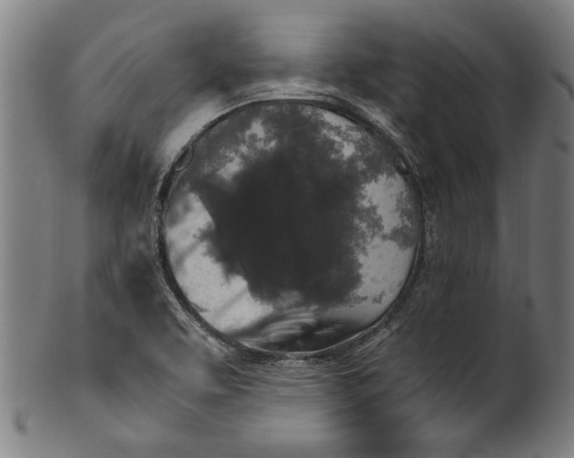 X0000100881463200807111330