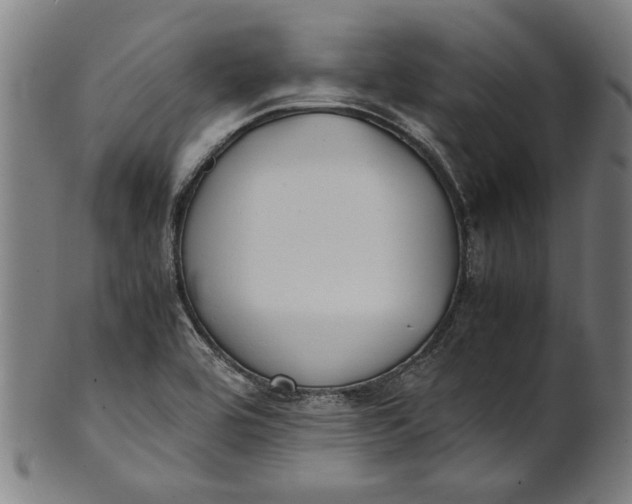 X0000100881464200807111330