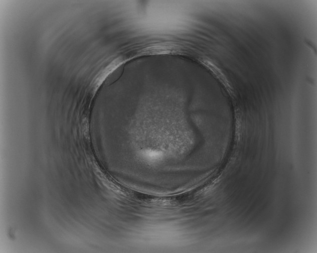 X0000100881465200807111330