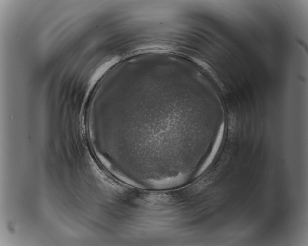 X0000100881466200807111330