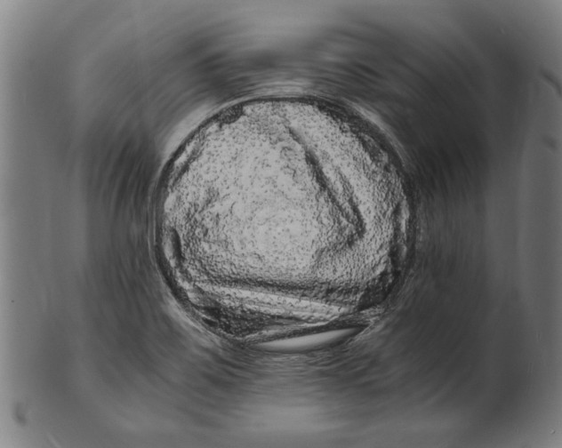 X0000100881467200807111330