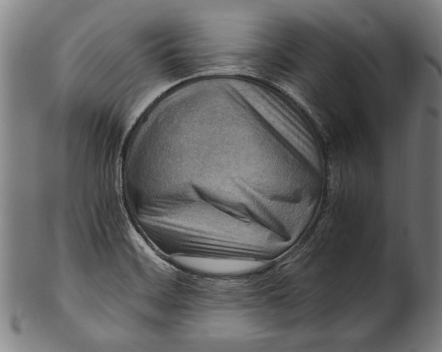 X0000100881468200807111330