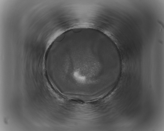 X0000100881469200807111330