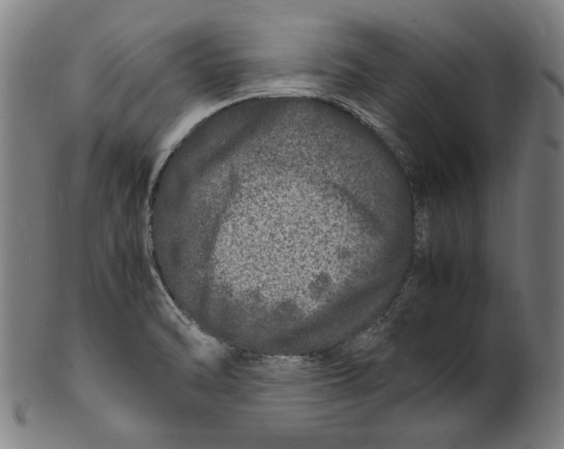 X0000100881470200807111330