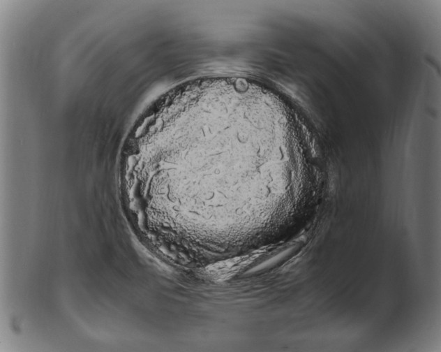 X0000100881471200807111330