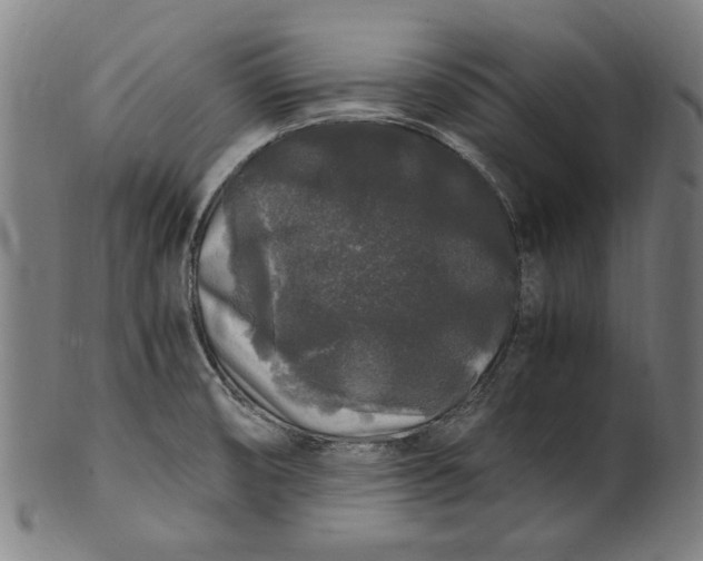 X0000100881474200807111330