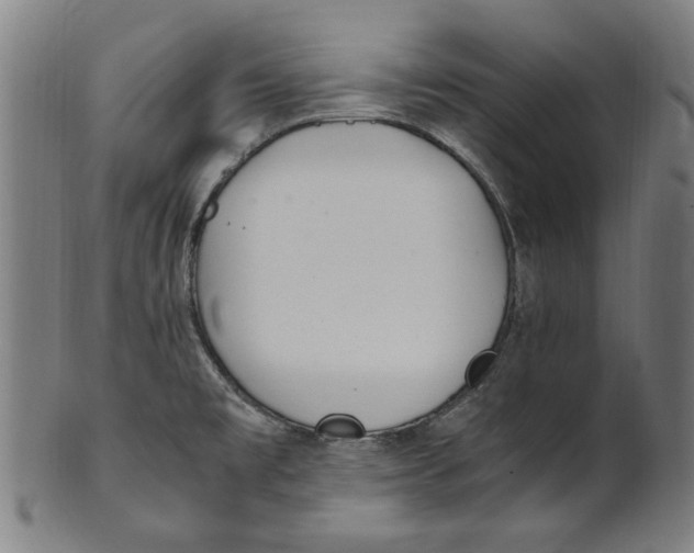 X0000100881477200807111330