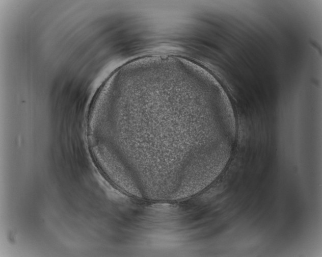 X0000100881478200807111330