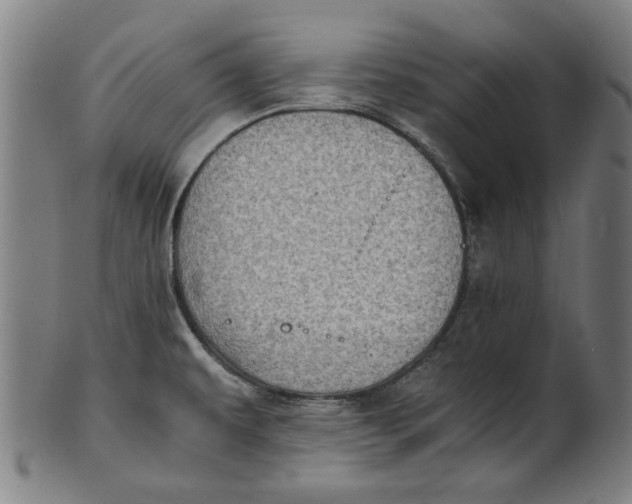 X0000100881479200807111330