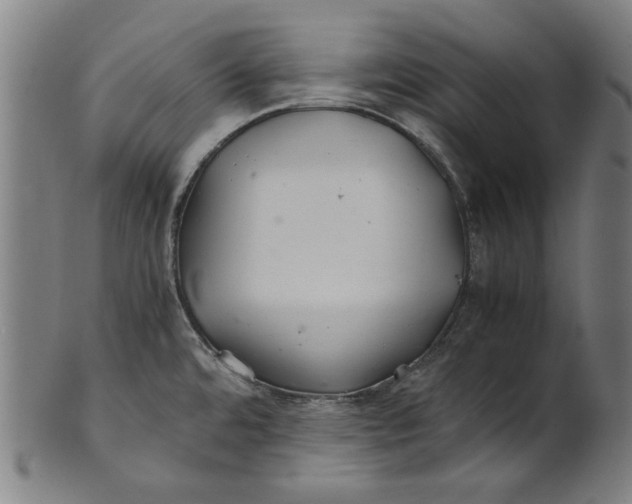 X0000100881480200807111330