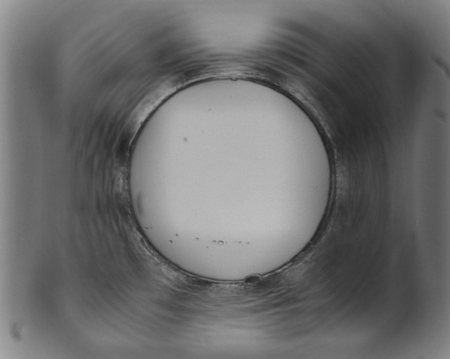 X0000100881481200807111330