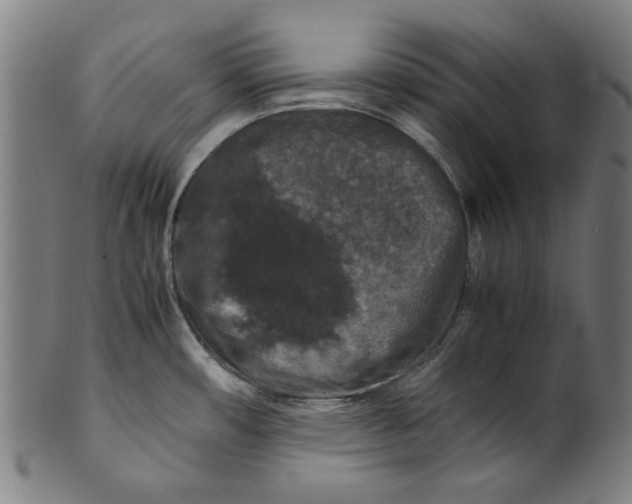 X0000100881482200807111330