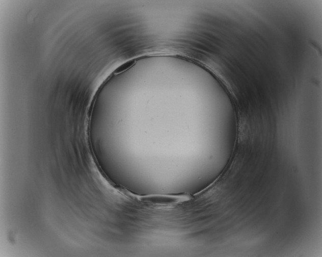 X0000100881484200807111330