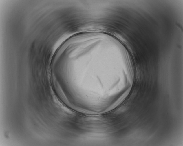 X0000100881486200807111330