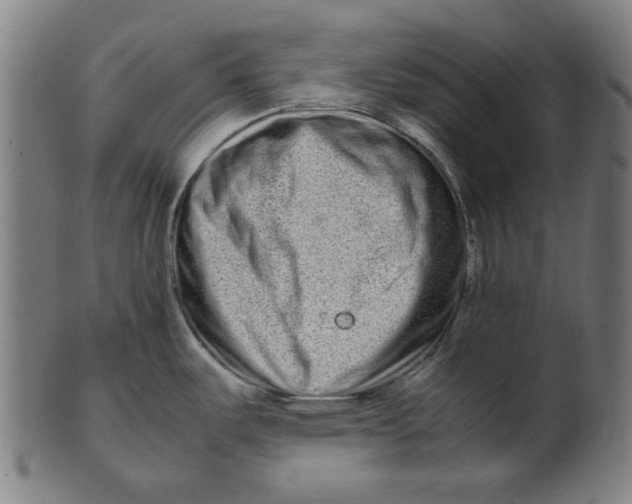 X0000100881487200807111330