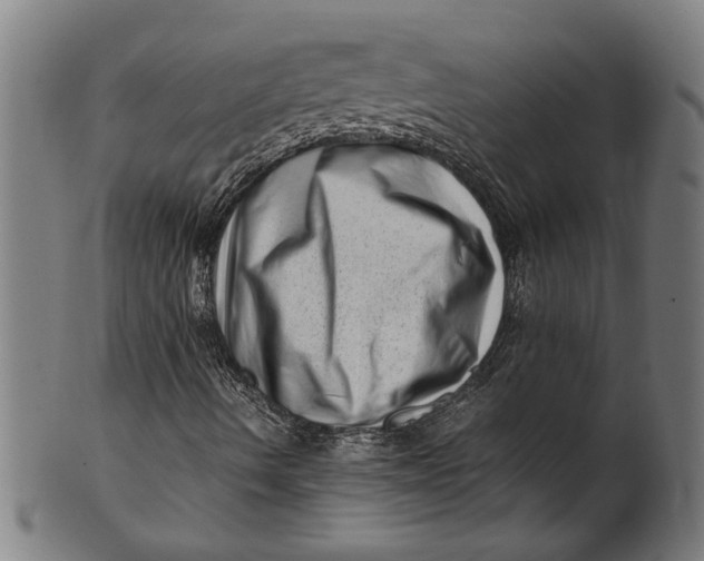 X0000100881490200807111329