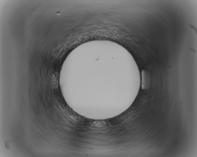 X0000100881491200807111329