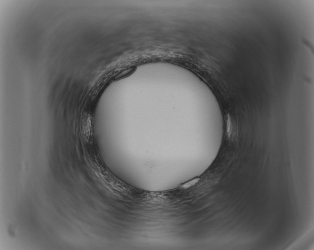 X0000100881492200807111329