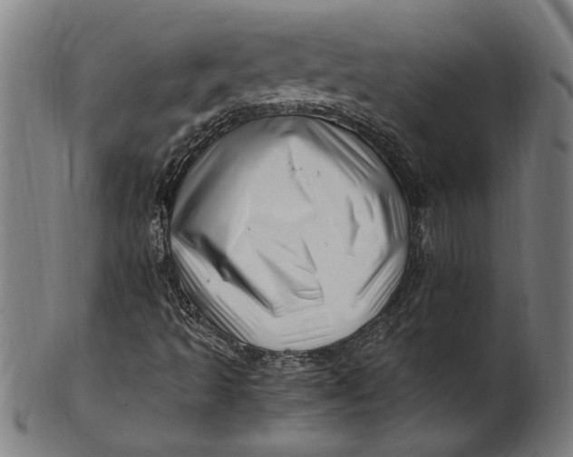 X0000100881493200807111329