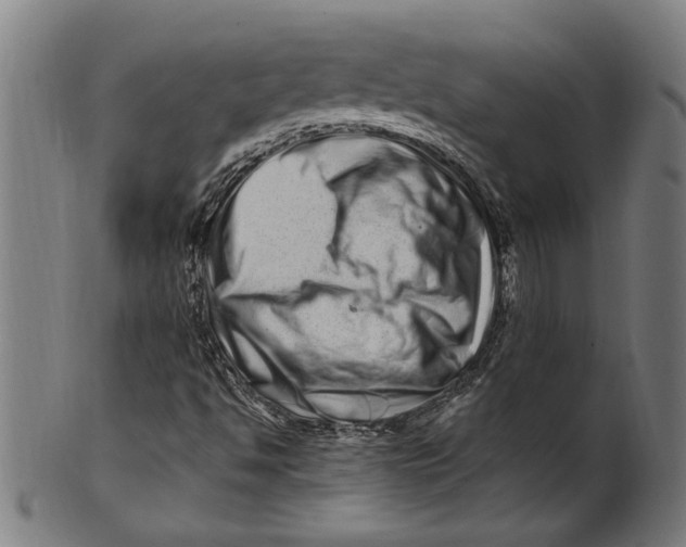 X0000100881494200807111329