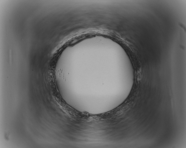 X0000100881496200807111329