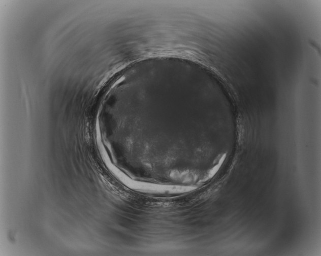 X0000100881497200807111329