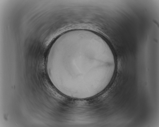 X0000100881498200807111329