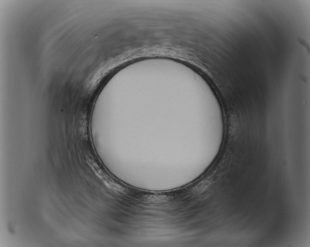 X0000100881499200807111329