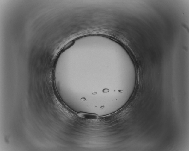 X0000100881500200807111329