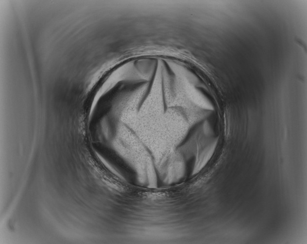 X0000100881501200807111329