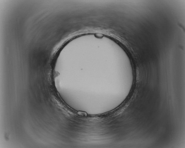 X0000100881502200807111329