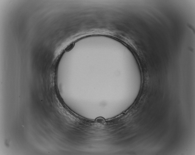 X0000100881504200807111329