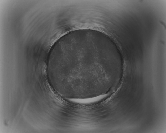 X0000100881505200807111329