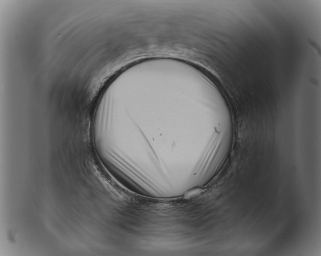 X0000100881507200807111329