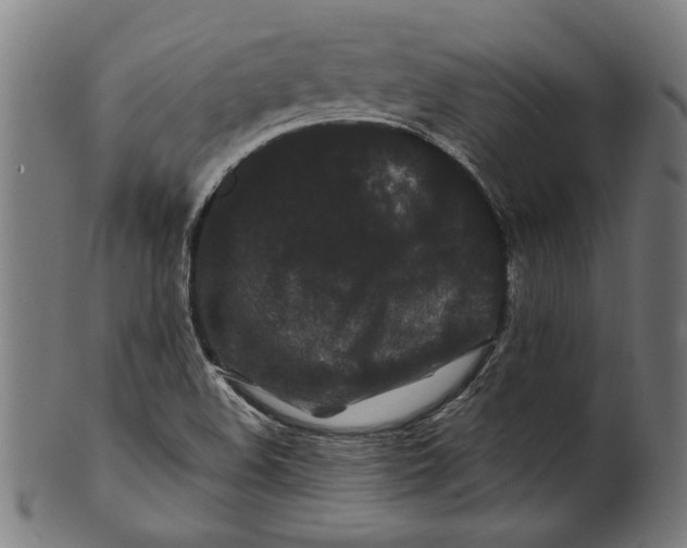 X0000100881508200807111329