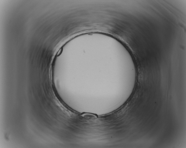 X0000100881516200807111330