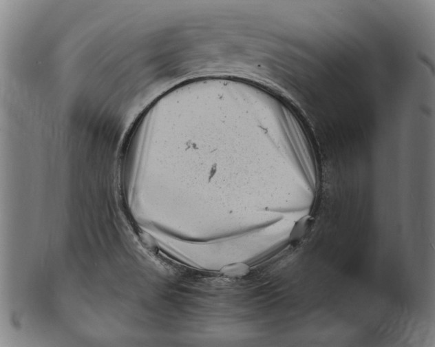 X0000100881517200807111330