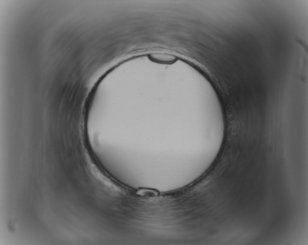 X0000100881518200807111330