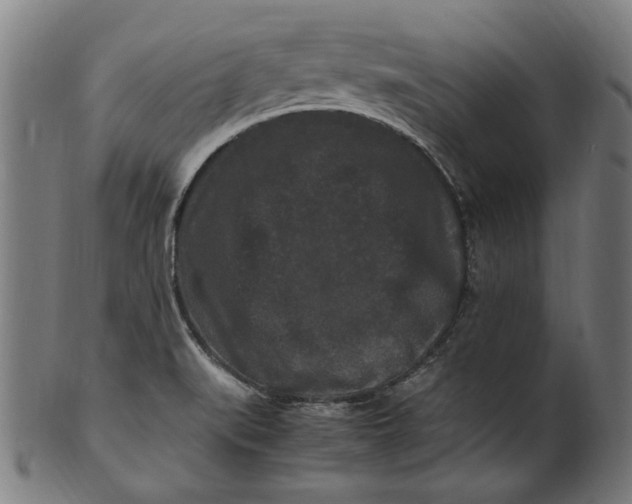 X0000100881519200807111330