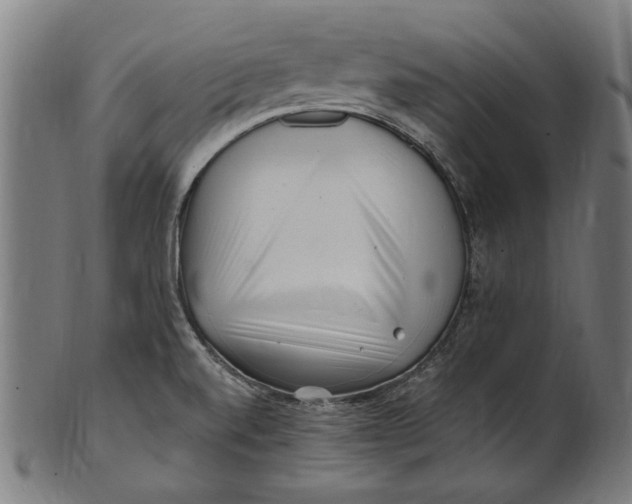 X0000100881520200807111330