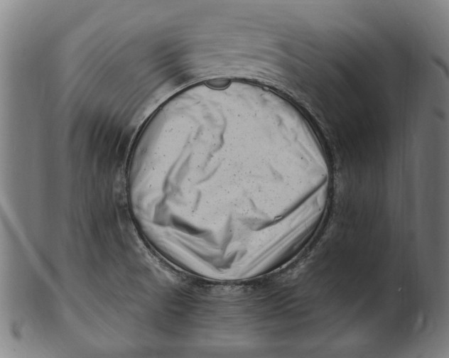 X0000100881521200807111330