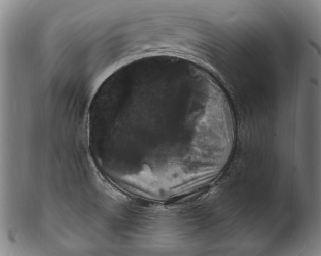 X0000100881522200807111330