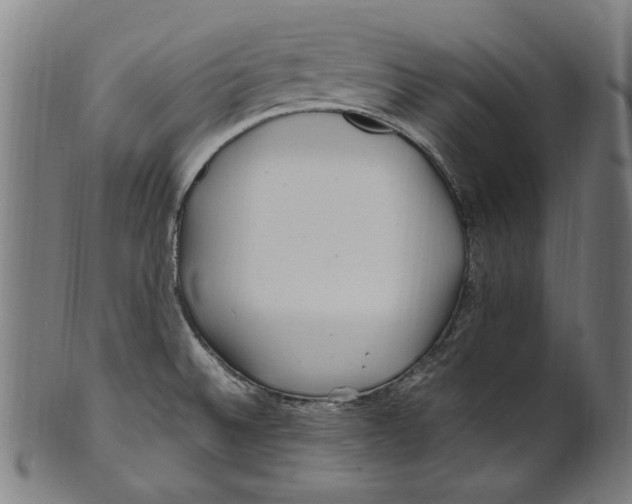 X0000100881524200807111330