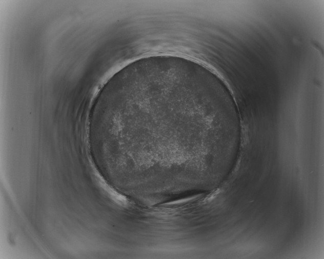 X0000100881525200807111330