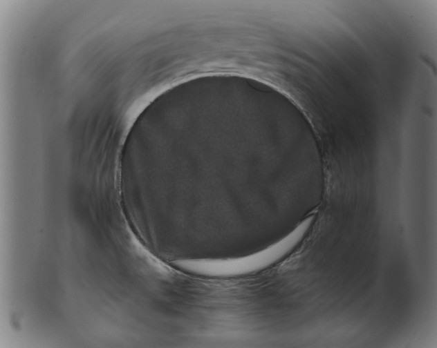 X0000100881527200807111330