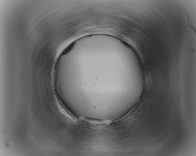 X0000100881528200807111330