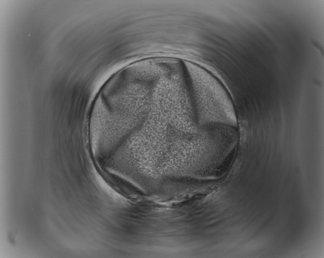 X0000100881531200807111330