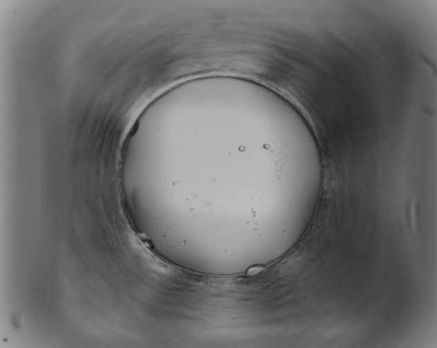 X0000100881532200807111330