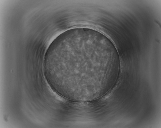 X0000100881533200807111330