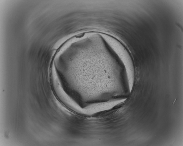 X0000100881535200807111330